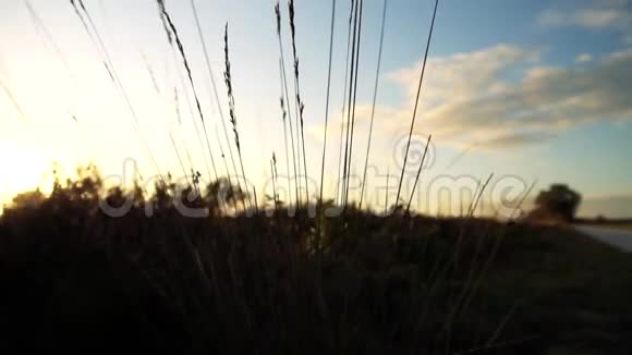 夕阳自然景观红视频的预览图