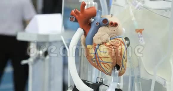 人工血液循环人人工心脏心脏模型捐助者之心视频的预览图