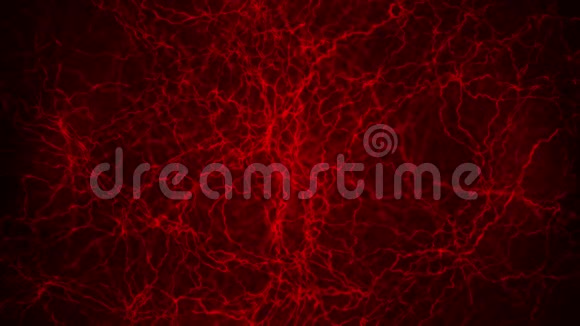 人血管3D环动画红色毛细血管黑色背景上的眼睛血解剖学背景医学概念视频的预览图