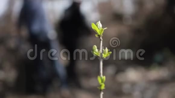 友好的生态学家在公园清理垃圾视频的预览图