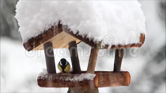 雪花飘落在鸟舍上视频的预览图