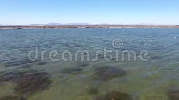 在盐湖上空飞行的火烈鸟视频的预览图