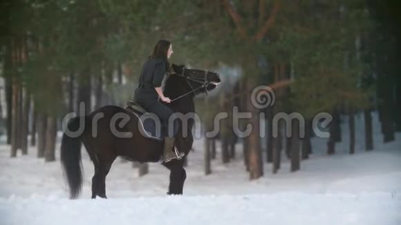 职业漂亮的长发女子骑着一匹黑马穿过森林中的深雪独立的种马视频的预览图