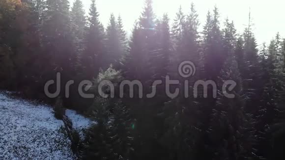 空中松林山雾烟视频的预览图