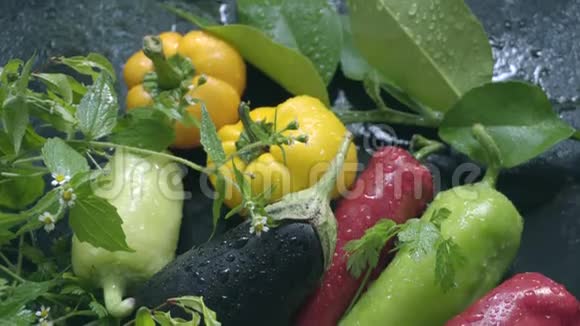 蔬菜茄子和辣椒在自然光线下的水滴中在黑暗的表面视频的预览图