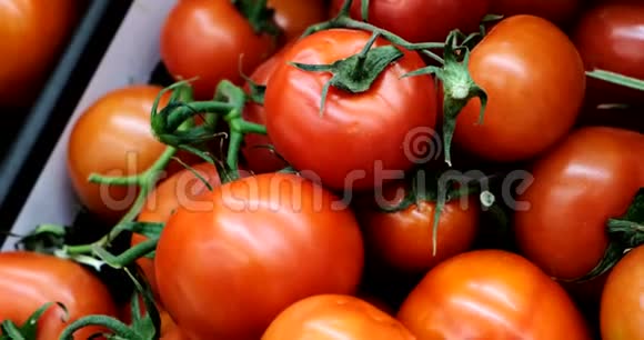 超市摊里的新鲜红西红柿视频的预览图