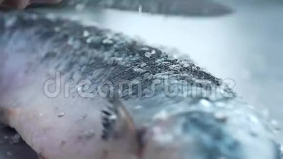 厨师切割和腌制鱼鱼餐饮食制作鱼碟的过程视频的预览图