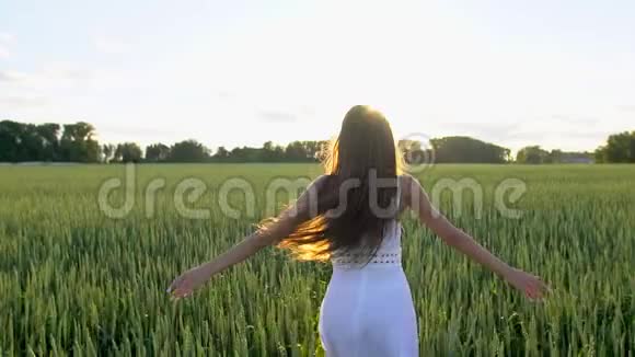 日落时分美丽的女孩在麦田上奔跑自由健康幸福的理念快乐美丽年轻视频的预览图