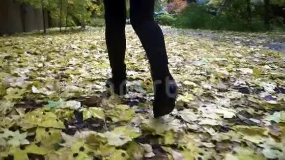 穿着黑色靴子的雌腿在秋日落叶上行走视频的预览图