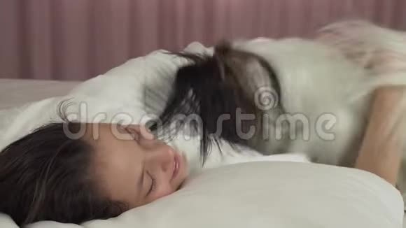 帕皮龙狗吵醒了床上的少女股票录像视频的预览图