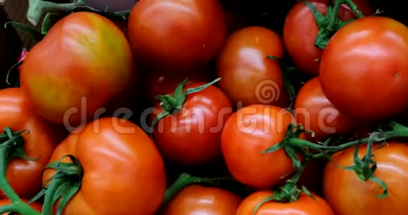 超市摊里的新鲜红西红柿视频的预览图