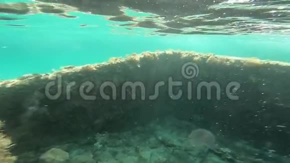撒丁岛海岸的海底景观和缓慢移动的古老遗迹视频的预览图