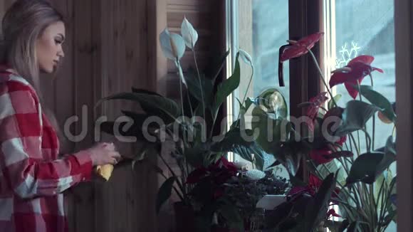 女人在窗户上喷洒植物叶子视频的预览图