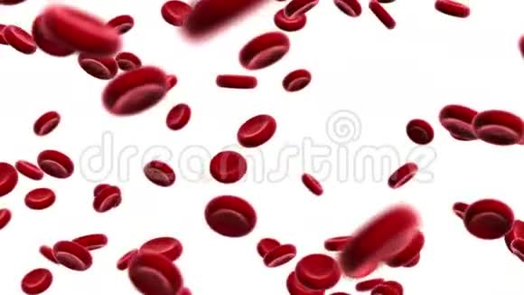漂浮的血细胞视频的预览图