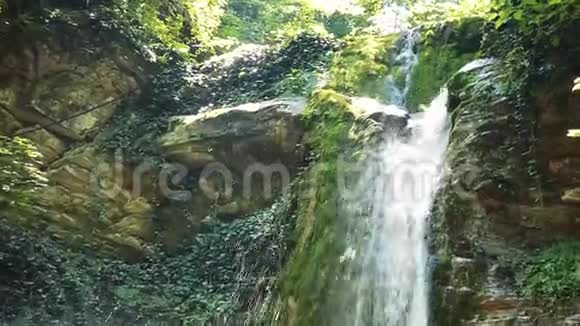 森林里的瀑布纯净的水流在古老的岩石之间视频的预览图