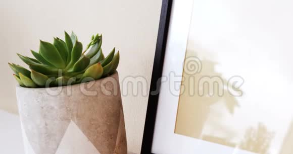 芦荟植物和玻璃相框视频的预览图
