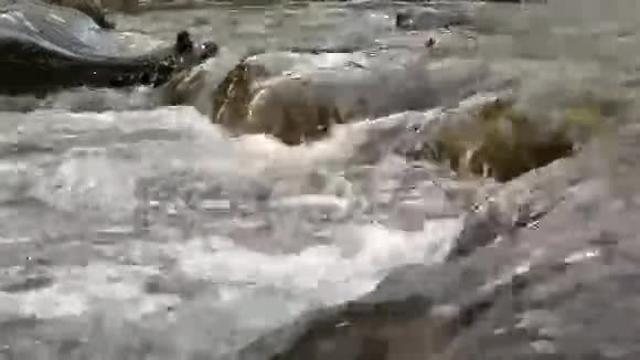 水在天然小溪中的鹅卵石上荡漾视频的预览图