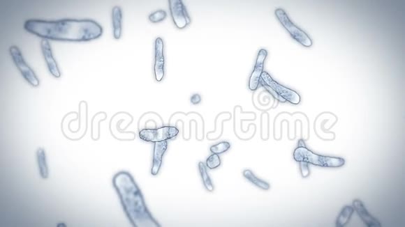 病毒细胞呈线性形状致病病毒引起感染人类病毒循环动画细菌微生物病毒防治视频的预览图