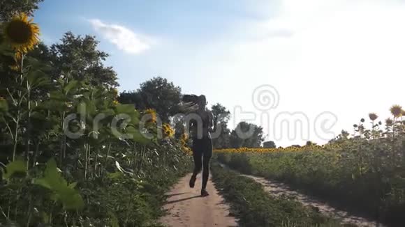 美丽的女孩在日出时在田野里慢跑户外健身用安定剂射击视频的预览图