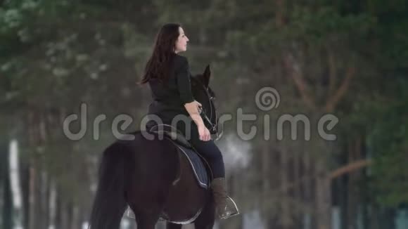 职业漂亮的长发女子骑着一匹黑马穿过森林中的深雪独立的种马视频的预览图