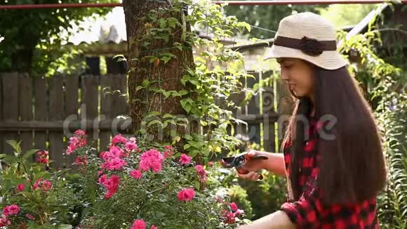 园丁女孩用剪刀修剪花视频的预览图