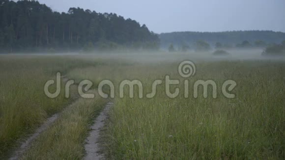 在雾的背景下田野里的路视频的预览图