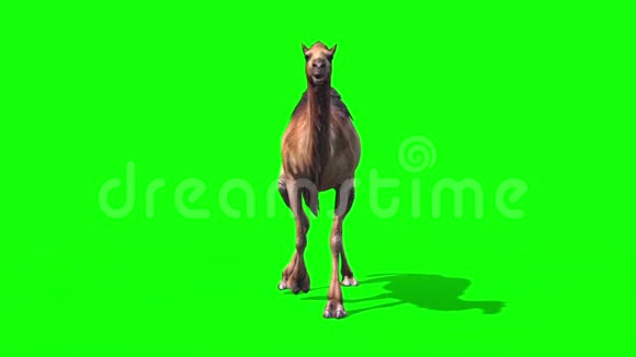 驼色漫游自行车绿幕沙漠三维渲染动画视频的预览图