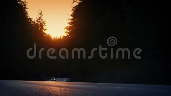 4x4汽车在日落时分穿过森林视频的预览图