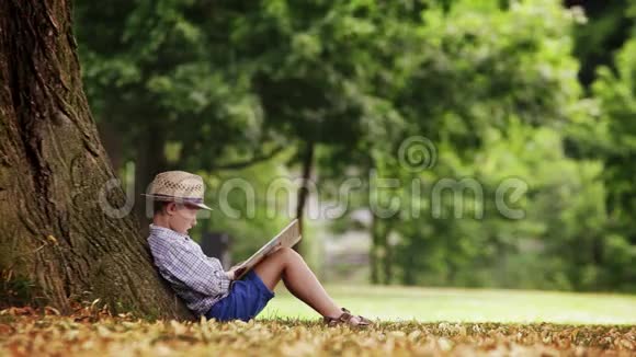 一个男孩坐在大林登树下看书视频的预览图