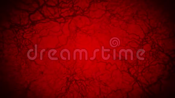人血管3D环动画卡皮利红色背景上的眼睛血解剖学背景医学概念视频的预览图