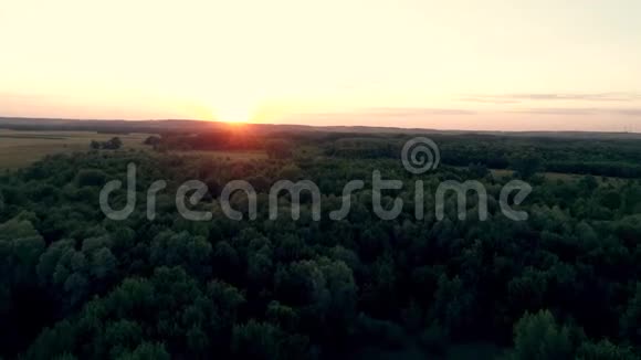 日落时分一架无人机飞过一片落叶绿林视频的预览图