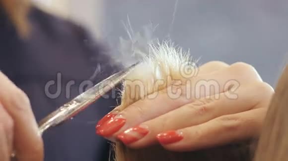 熟练的理发师用剪刀剪客户的头发视频的预览图