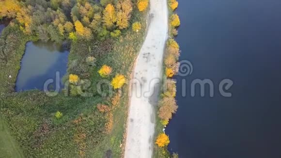 森林中池塘的俯视图录像秋天有湖泊树木和草的自然地块视频的预览图