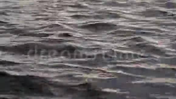波浪在暗水表面的运动视频的预览图