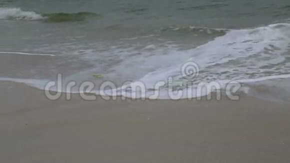 大浪拍岸视频的预览图