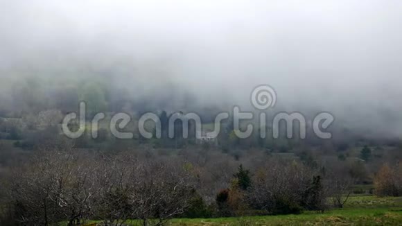 林中浓雾N村山中浓雾视频的预览图