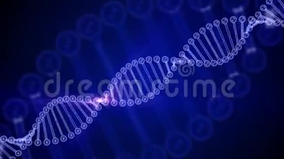 在蓝色背景上旋转发光的DNA分子三维渲染可循环动画遗传学概念4K镜头视频的预览图