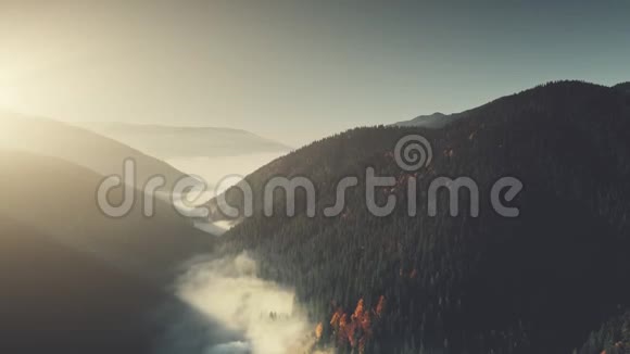 高山森林斜坡景观鸟瞰图视频的预览图