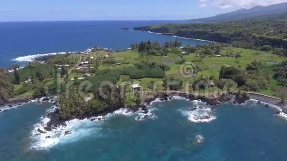 令人惊叹的空中4k无人机全景海景图位于热带太平洋的毛伊岛夏威夷凯纳绿地公园视频的预览图