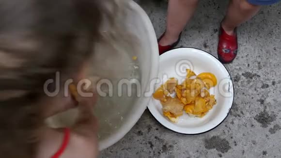 孩子们在桶里洗蘑菇视频的预览图