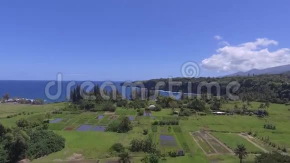 令人惊叹的空中4k无人驾驶飞机在野生自然热带夏威夷岛毛伊岛天际线深蓝色海洋海景海滩基奈视频的预览图