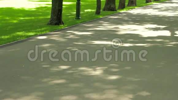公园里一个年轻女孩穿着健身运动裤跑步视频的预览图