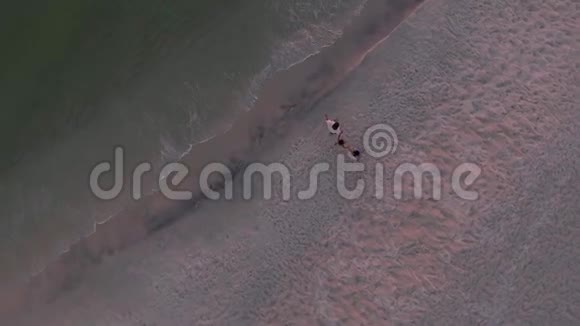 年轻浪漫的情侣在沙滩上漫步视频的预览图
