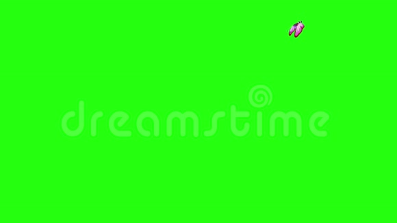 粉红色斑点蝴蝶飞色视频的预览图