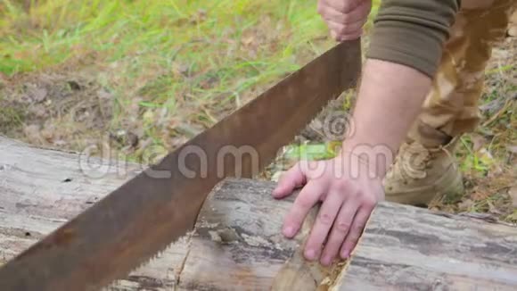 人在森林里为篝火锯木头特写锯子和伐木工人手在户外砍树人工切割原木视频的预览图