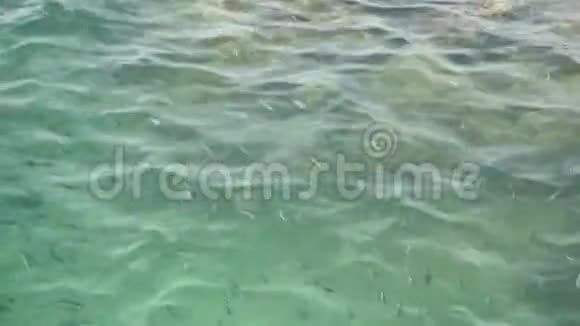 在夏天透明清澈碧波荡漾的海面上下面是珊瑚礁异国热带学校视频的预览图