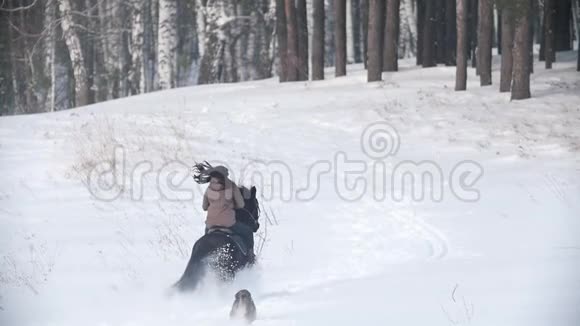 女骑手骑着黑色的马穿过雪地狗在附近奔跑视频的预览图