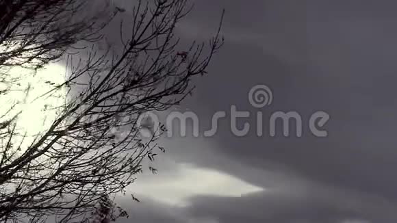 带树枝的时间推移风暴视频的预览图