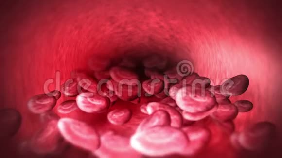 人体循环系统人血管3红细胞D环动画医疗保健符号视频的预览图