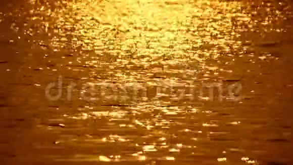 湖中阳光反射视频的预览图